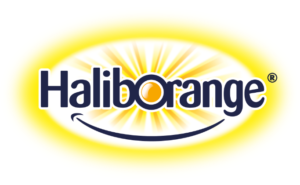 HALIBORANGE-logo-300x185